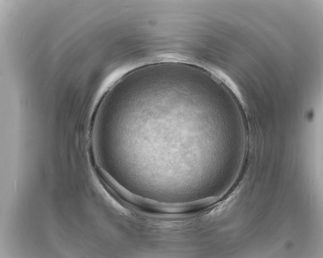 X0000093731381200710231143