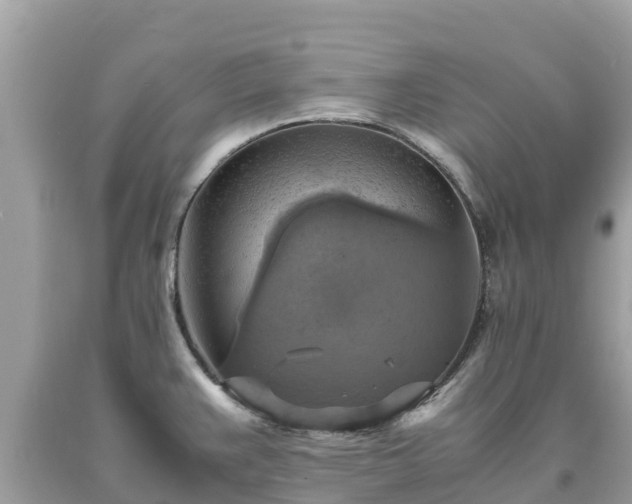 X0000093731383200710231143