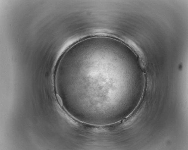 X0000093731384200710231143