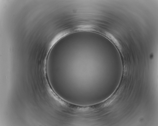 X0000093731386200710231143