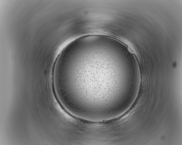 X0000093731387200710231143