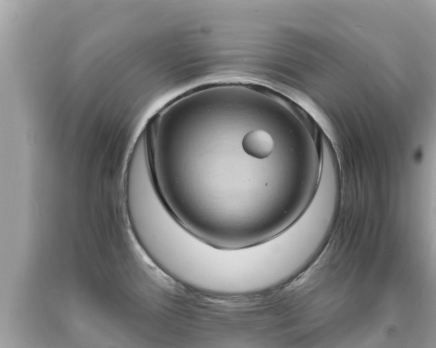 X0000093731388200710231143
