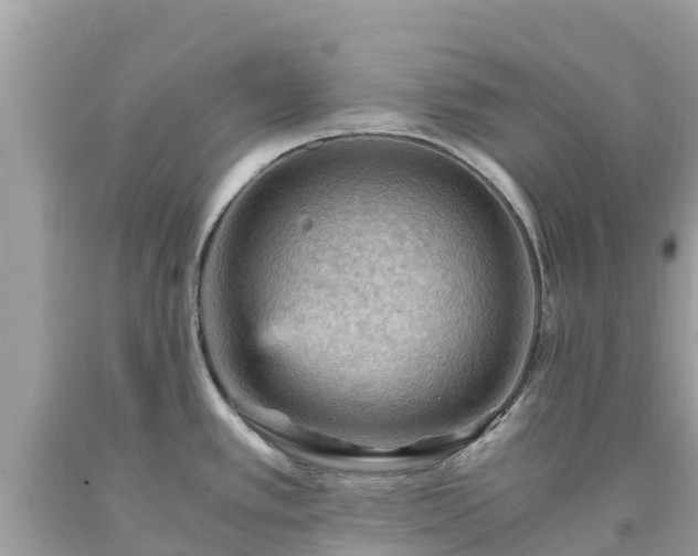X0000093731389200710231143
