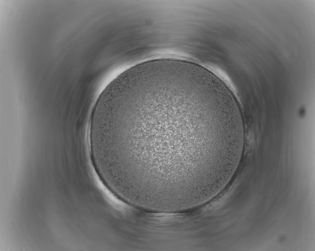 X0000093731391200710231143