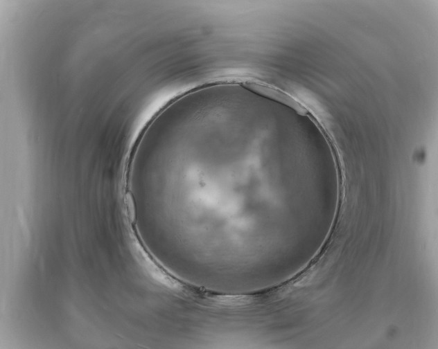 X0000093731392200710231143