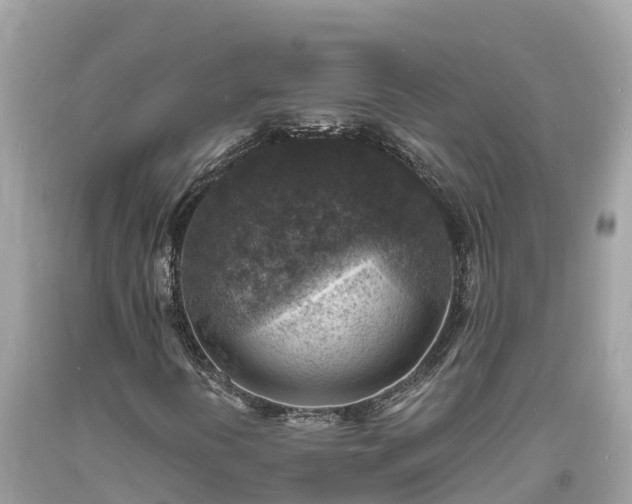 X0000093731394200710231142