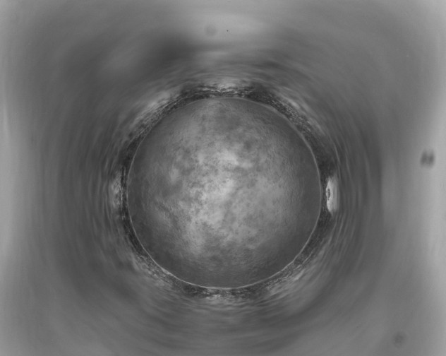X0000093731395200710231142