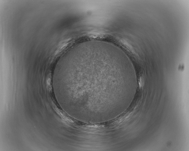 X0000093731396200710231142