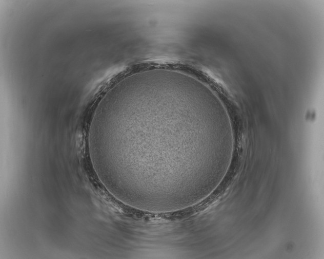 X0000093731398200710231142