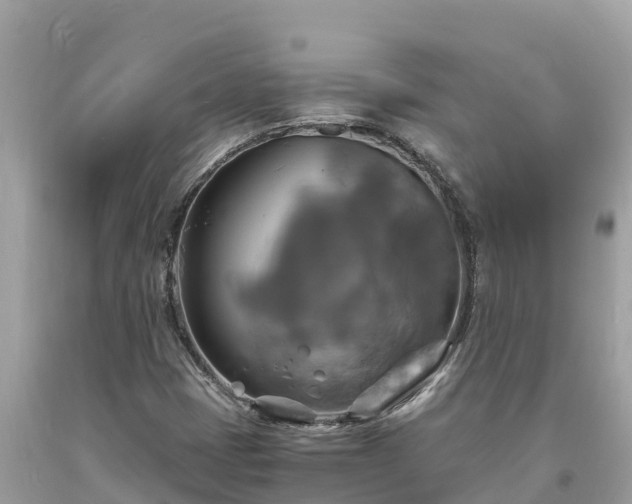 X0000093731401200710231142