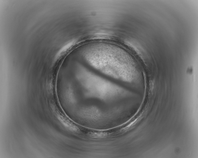 X0000093731403200710231142