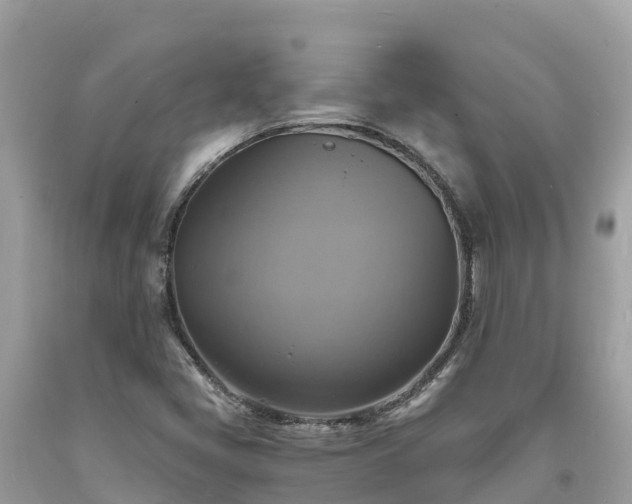 X0000093731405200710231142