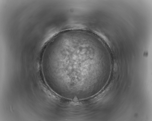 X0000093731407200710231143