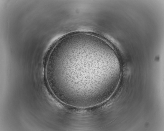 X0000093731408200710231143