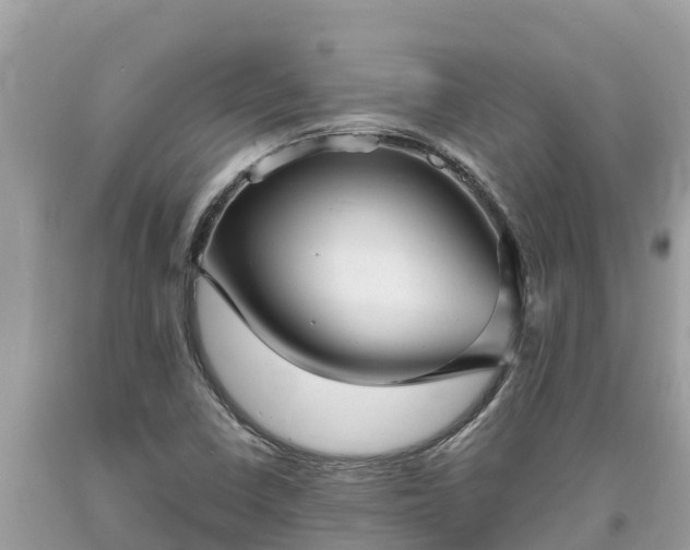 X0000093731410200710231143