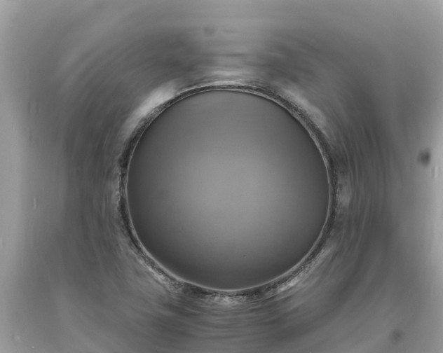 X0000093731411200710231143