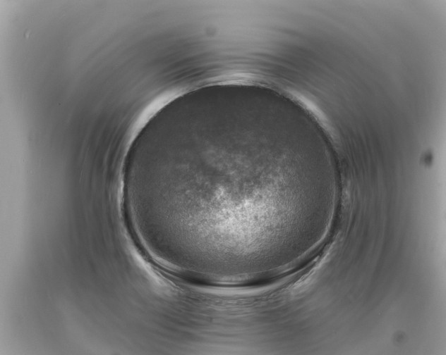 X0000093731418200710231143