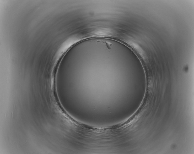 X0000093731419200710231143