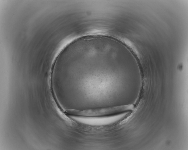 X0000093731421200710231143