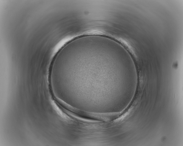 X0000093731422200710231143