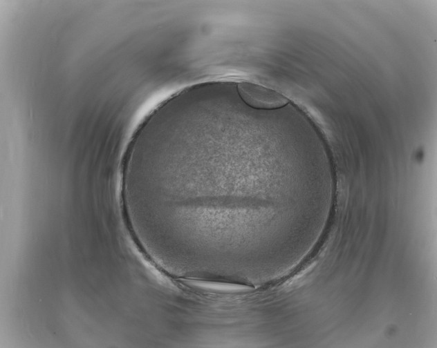 X0000093731424200710231143