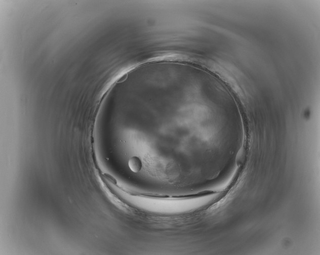 X0000093731425200710231143