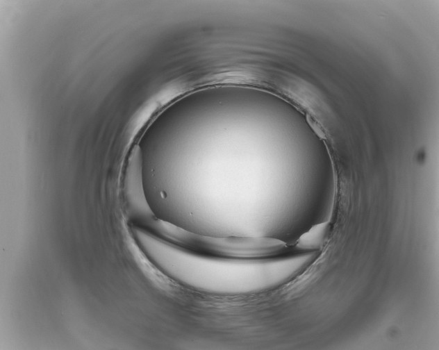 X0000093731426200710231143