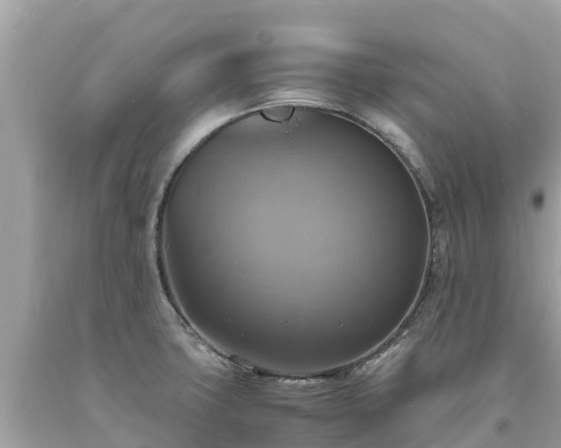 X0000093731427200710231143