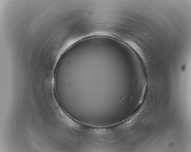 X0000093731428200710231143