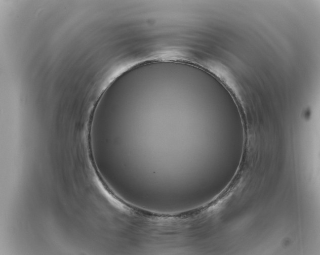X0000093731429200710231143