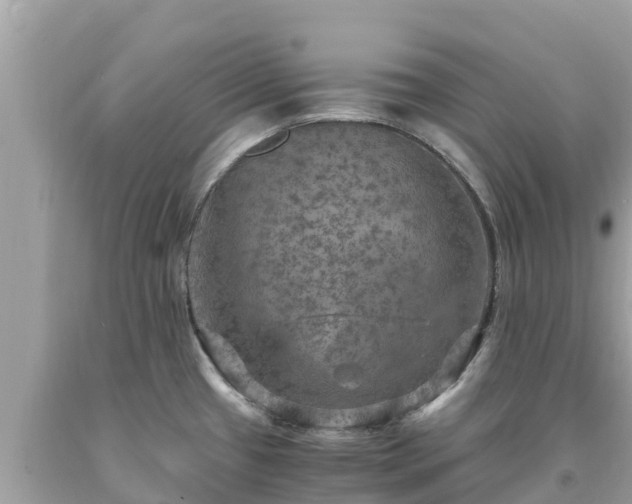 X0000093731433200710231143
