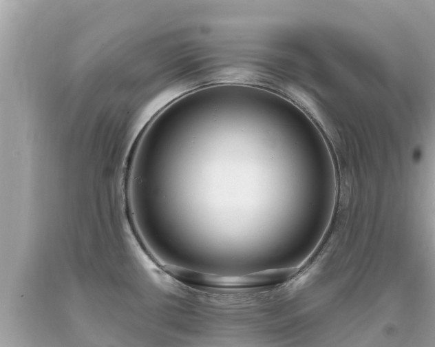 X0000093731434200710231143