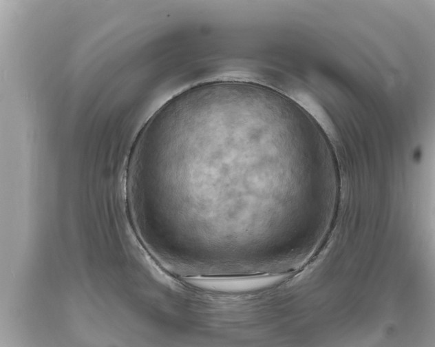 X0000093731436200710231143