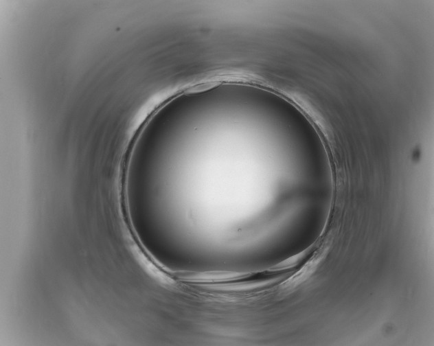 X0000093731438200710231143