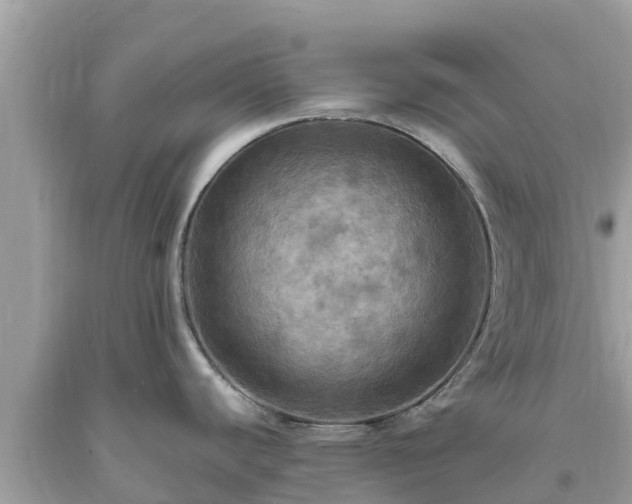 X0000093731440200710231143