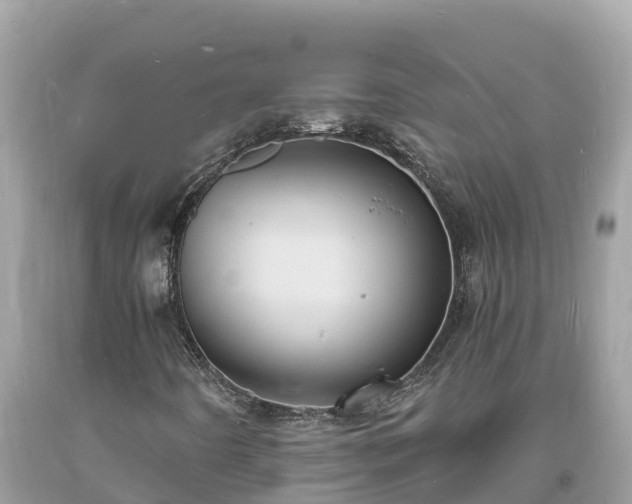 X0000093731442200710231142