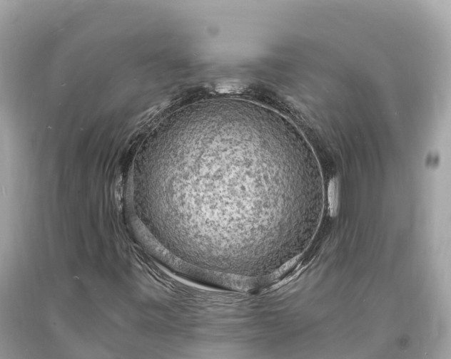 X0000093731443200710231142