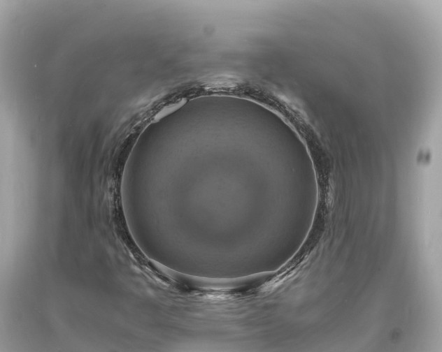 X0000093731445200710231142