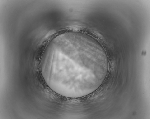 X0000093731446200710231142