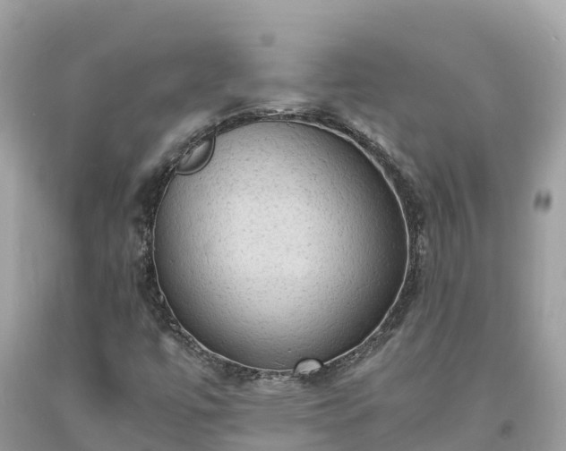 X0000093731447200710231142