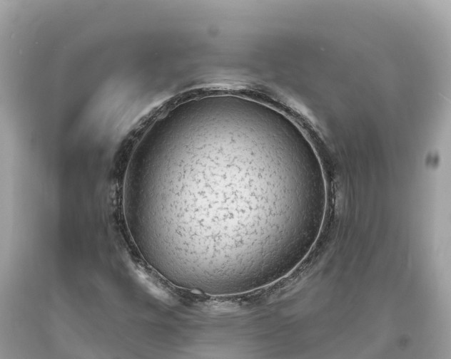 X0000093731448200710231142