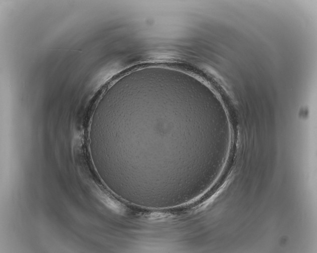 X0000093731449200710231142