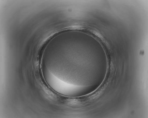 X0000093731450200710231142