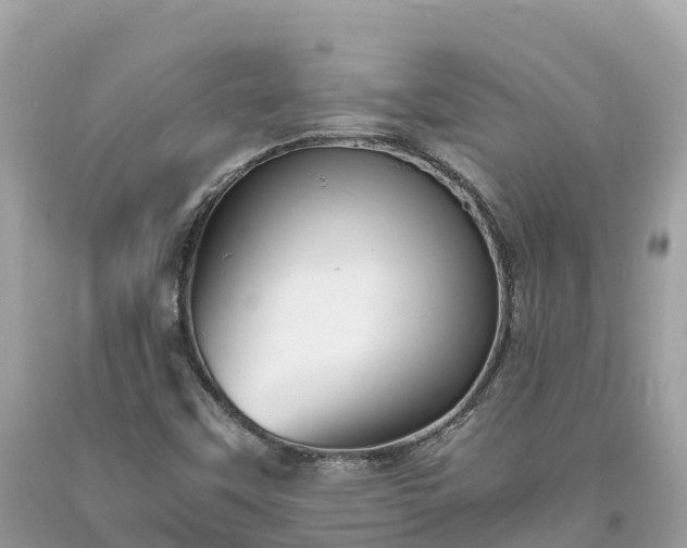 X0000093731451200710231142