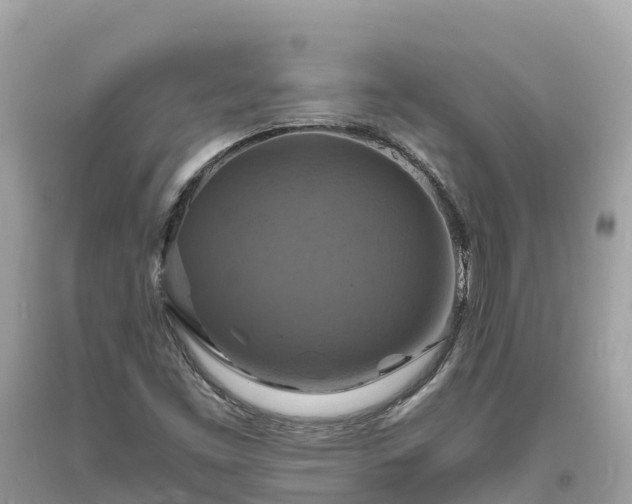 X0000093731453200710231142