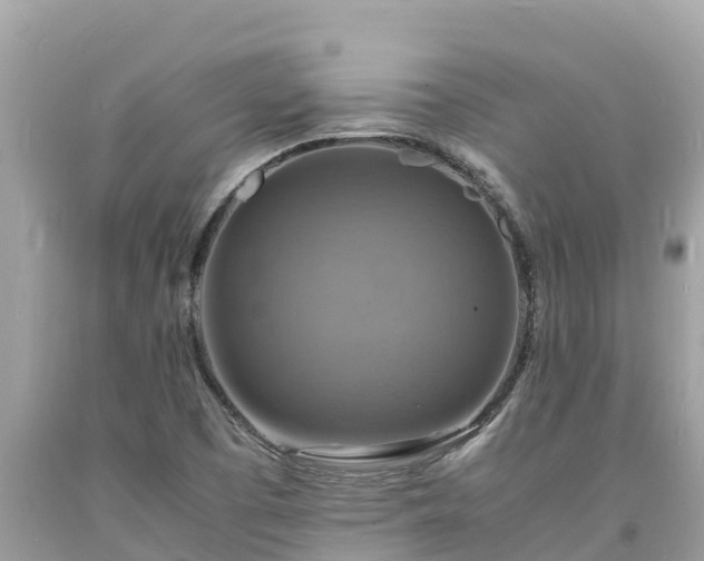 X0000093731457200710231142
