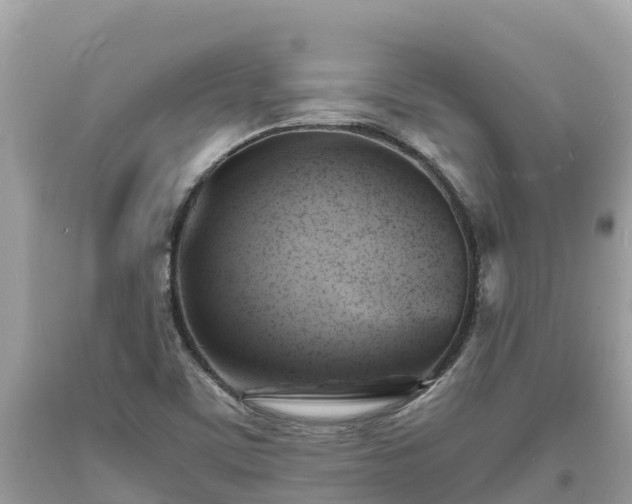 X0000093731459200710231142