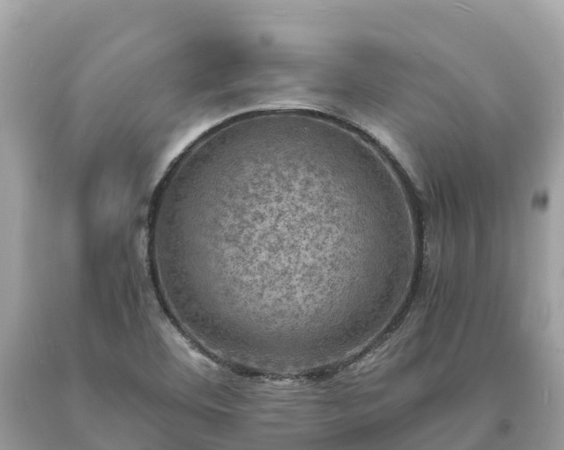 X0000093731460200710231142