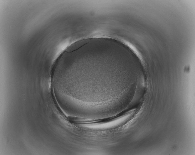 X0000093731461200710231142