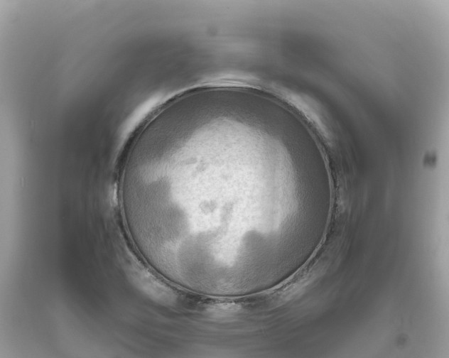 X0000093731462200710231142